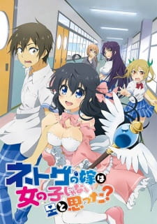 Netoge no Yome wa Onnanoko ja Nai to Omotta? انمي