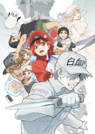 Hataraku Saibou!! انمي