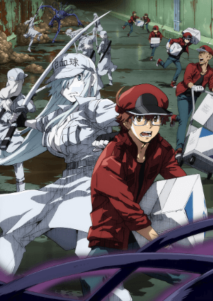 Hataraku Saibou Black (TV) انمي