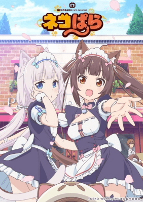 Nekopara انمي