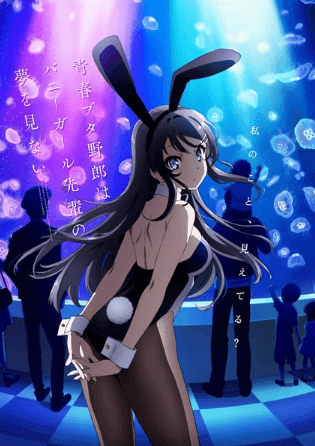 Seishun Buta Yarou wa Bunny Girl Senpai no Yume wo Minai انمي